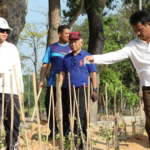 Terus Melaju Wujudkan Batam Hijau dan Asri