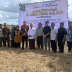 LPPNU Kepri Sukses Panen Perdana Padi Pupuk Organik Rumput Laut di Bintan