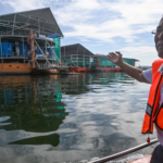 Pensiunan Insinyur Migas Singapura Ini Kini Jadi Juragan Ikan