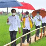 Kementan Optimis Bisa Berhasil Cetak Sawah 500 Ribu Hektare di Merauke