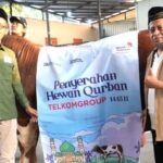 Hari Raya Iduladha 1445 H, TelkomGroup Distribusikan 544 Ekor Hewan Kurban