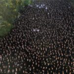 Tolak Wajib Militer, Ratusan Pria Yahudi Ultra-Ortodoks Protes Putusan MA Israel