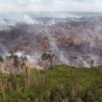 BNPB Ingatkan Kekeringan dan Karhutla di Indonesia di Tujuh Provinsi