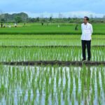 Aktivis Papua Desak Penghentian Proyek Satu Juta Hektar Sawah di Merauke