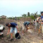 Musim Hujan Tiba, Warga Desa Mencolok Jambi Tanam Padi Darat