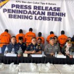 Bea Cukai Batam Gagalkan Penyelundupan 266.600 Benih Lobster Senilai Rp26,9 Miliar