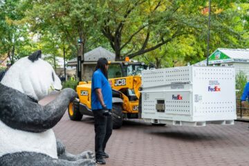 Panda China Tiba Kebun Binatang Nasional di Washington DC