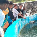 Kolaborasi dengan BPBL Batam, PT Timah Beri Pelatihan Pemeliharaan dan Pemijahan Ikan Kakap Putih