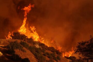 Angin Kencang Perparah Penyebaran Karhutla di Los Angeles