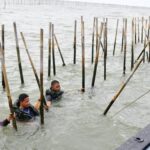 Penyelesaian Pagar Laut Jadi Parameter Keberhasilan Kabinet Merah Putih