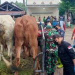 Wabah PMK Sebabkan Aktivitas Pasar Hewan di Rembang Menurun Drastis