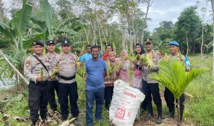 Kapolsek Singkep Barat Pimpin Panen Perdana Jagung Paragon di Desa Sungai Raya