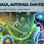 Puasa, Autofagi, dan Esofagus