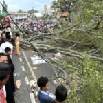 Pohon Tumbang Timpa Jamaah Sholad Id, Dua Orang Meninggal Dunia