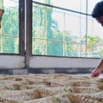 Pengurus Masjid Didorong Terapkan Eco Qurban Saat Iduladha