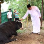 Bupati Bintan Serahkan Sapi Kurban Presiden RI di Kampung Sekera Tanjung Uban