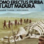Homo Erectus Purba di Laut Madura