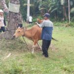 Bupati Bintan dan DKPP Bintan Beri Penyuluhan Bagi Peternak dan Petani di Tambelan