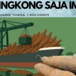 Singkong Saja Impor