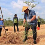 Rehabilitasi Lahan Kawasan Embung DAS Kawal, Bupati Bintan Tanam Pohon Ketapang Kencana