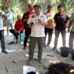 BPDPKS Gelar Pelatihan Praktik Pembuatan Biochar Skala UKMK di Riau