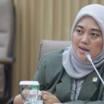 Komisi VII DPR Minta Pemerintah Tindak Tegas Penambangan Ilegal di Pulau Gebe