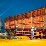 Japfa Dorong Peternak Lokal Ekspor Ayam ke Singapura