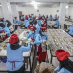 Ekonom Usul MBG Diubah: Uang Tunai Langsung ke Orang Tua Siswa