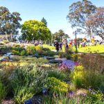 Australia Barat Sambut Wisatawan Indonesia di Musim Bunga Liar