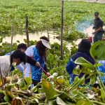 Aksi Bersih Waduk Duriangkang, BP Batam Ajak Warga Jaga Sumber Air Kota