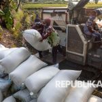 KAI Luncurkan Inovasi Kereta untuk Petani dan Pedagang