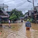 Menteri LH Sebut Delapan Perusahaan Penyebab Parahnya Banjir di Sumatera Utara