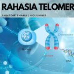 Rahasia Telomer