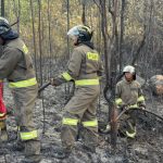 Brimob Kepri Gerak Cepat Padamkan Kebakaran Hutan Di Bukit Daeng Tembesi, Kota Batam