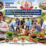 Dapur SPPG Bunguran Selatan “Menggoyang” Program MBG, Perdana di Kepri sembelih Sapi