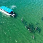 Yuk, Nikmati Lima Pengalaman Luar Biasa di South West Australia