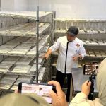 Tempe Jadi Menu Favorit Jemaah Haji Selama di Madinah