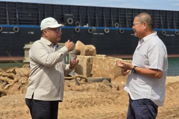 Koreksi Ekspor Batam Awal 2026, BP Batam Siapkan Respons Terarah