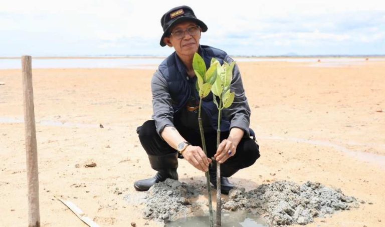 Aksi Menyelamatkan Bumi, Wali Kota bersama Mahasiswa Batam Tanam 2.000 Mangrove