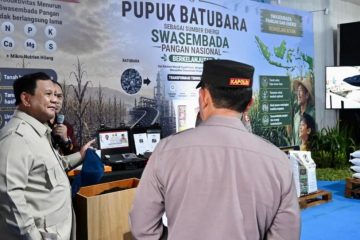 Cadangan Beras RI Tembus 5,3 Juta Ton, Pemerintah Klaim Pangan Nasional Aman