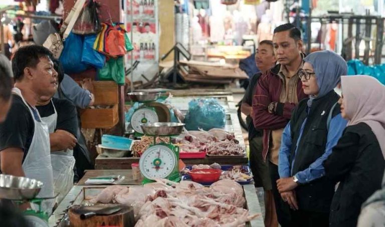 Sekda Kepri Tinjau Harga Bahan Pokok di Pasar Bintan Center Jelang Iduladha, Pastikan Stok dan Stabilitas Terjaga