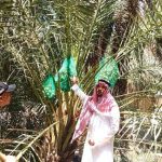 Menyusuri Jejak Sahabat Rasulullah, Saudagar Kaya Abdurrahman bin Auf di Tengah Kebun Kurma Madinah
