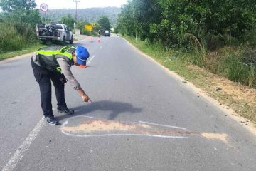 Adu Kambing di Jalan Raya Korindo Bintan, Nyawa Pengendara Yamaha Scorpio Melayang