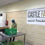 Castle Farms Madinah Padukan Pengalaman Tiga Generasi dan Teknologi AI