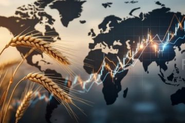 FAO: Harga Pangan Dunia Naik, Konflik dan El Nino Jadi Pemicu