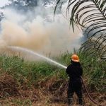 Karhutla di Bintan Terus Terjadi, Luas Lahan Terbakar Capai 9 Hektare