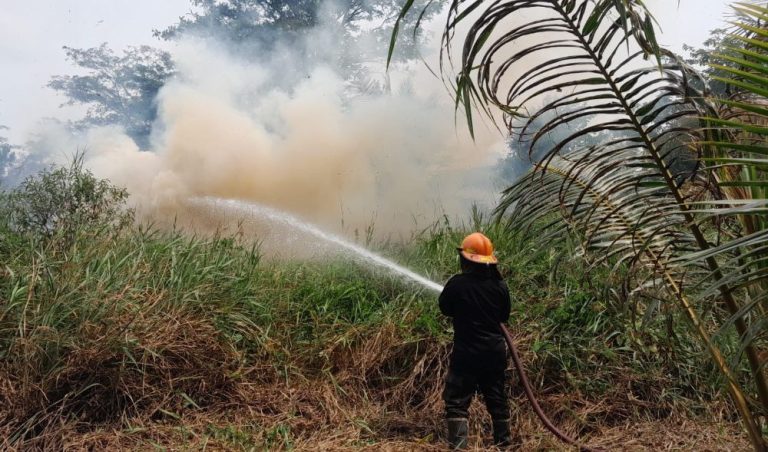 Karhutla di Bintan Terus Terjadi, Luas Lahan Terbakar Capai 9 Hektare