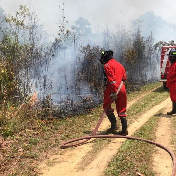 Tajuk J5NEWSROOM.COM: Jangan Biarkan Silaturahmi dengan Singapura dan Malaysia Rusak Gegara Karhutla