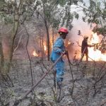 Cuaca Panas Disertai Angin Kencang, Damkar Tanjunguban Tangani Enam Karhutla