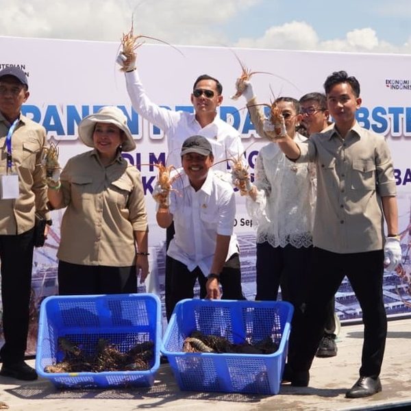Tajuk J5NEWSROOM.COM: Lobster Batam Tembus Singapura, Saatnya Anak-Anak Kepri Kuasai Pasar!